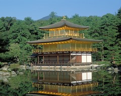 Kinkaku-ji Temple